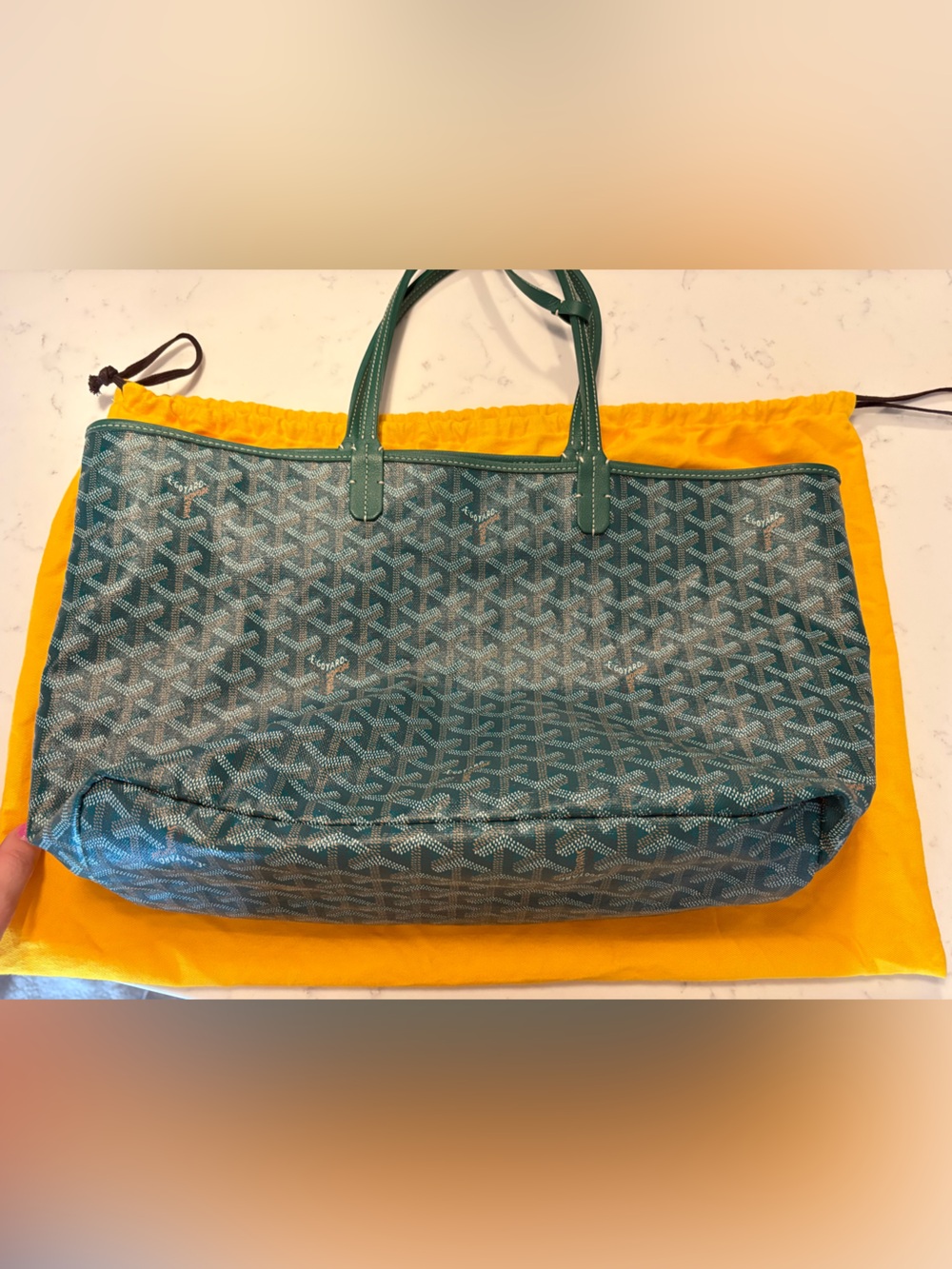 Goyard Saint Louis PM